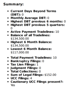 Summary section of business credit report