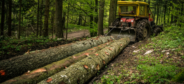 Logging Equipment Financing Options in 2020