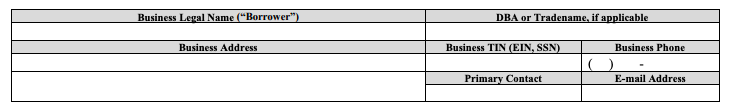 PPP Forgiveness form business info